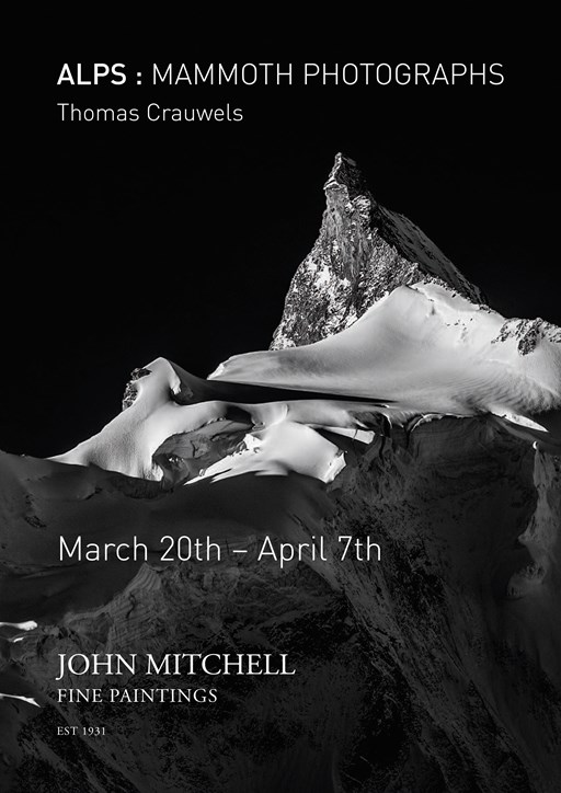 Current exhibition ALPS: MAMMOTH PHOTOGRAPHS by Thomas Crauwels