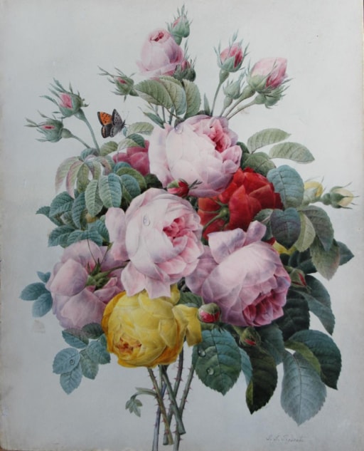 Pierre-Joseph Redouté (1759-1840), the ‘Raphael of flowers’