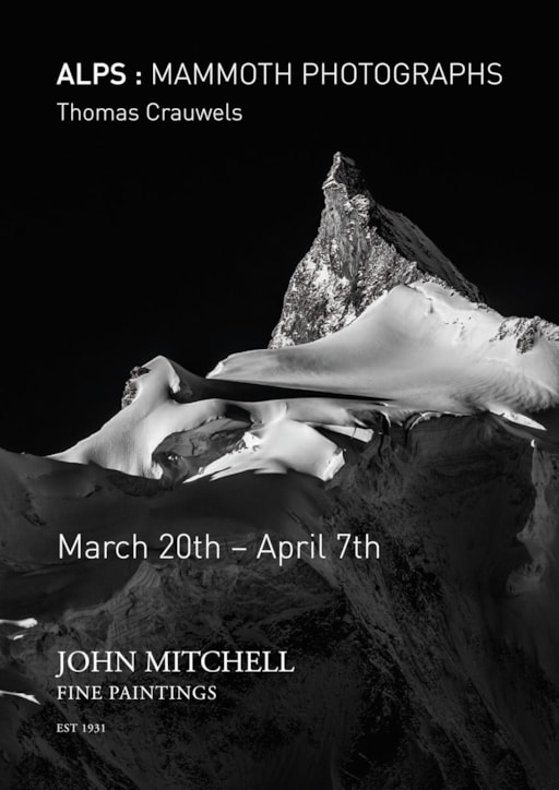Current exhibition ALPS: MAMMOTH PHOTOGRAPHS by Thomas Crauwels