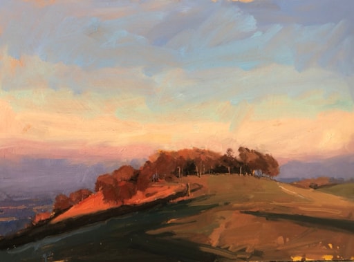 SOUTH DOWNS extended until 17th December